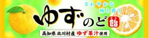 ライオン菓子 ゆずのど飴スティック 10粒 ×10個