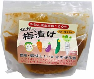 松葉農園 紀州の梅漬け 500g ×2袋