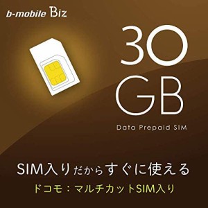 日本通信 b-mobile Biz SIMパッケージ(DC/マルチ)