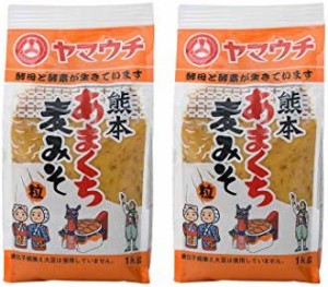 [山内本店] 味噌 熊本 あまくち 麦みそ 1000g×2