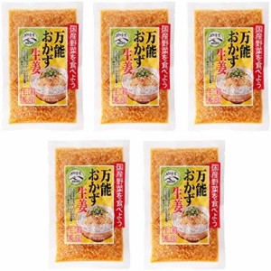 [上沖産業] 宮崎県産 万能おかず生姜 13g×5P/ 国産 生姜