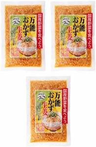 [上沖産業] 宮崎県産 万能おかず生姜 13g×3P/ 国産 生姜