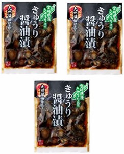 [上沖産業] 宮崎産 きゅうり 醤油漬/漬物 100g×3