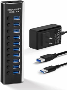 ROSONWAY USB ハブ 3.1 Gen2 10Gbps 10ポートアルミ製 36W USB HUB セルフパワー USBケーブルとType Cケーブル 付き 12V/3A ACアダプタ 