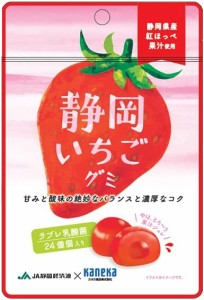 カネカ食品　静岡いちごグミ ラブレ乳酸菌入り　40g×10袋