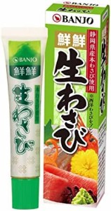 万城食品 チューブ入り生わさび 43g×10個