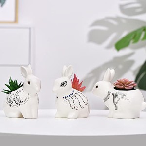 [詩真] うさぎの植木鉢 陶器 多肉植物鉢 シンプル 動物 かわいい 白（4号） (三点セット)