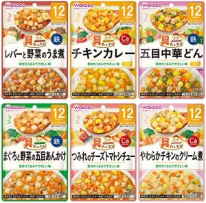 和光堂 具たっぷりグーグーキッチン [12か月頃から] おすすめセット 6種×2袋(12袋) ベビーフード