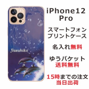 iPhone12pro  ケース アイフォン12プロ カバー らふら 名入れ ドルフィンジャンプ