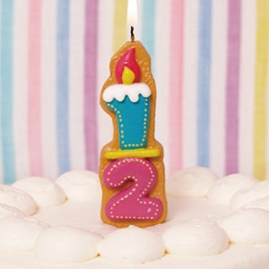 ナンバーキャンドル　ろうそく　数字　クッキー　ハーフ （ ケーキキャンドル ローソク ロウソク キャンドル ナンバー 数字 誕生日ケーキ