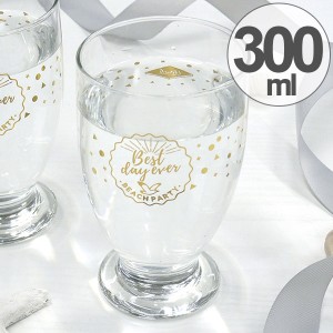 コップ 300ml ガラス カモメ 食器 （ グラス ガラス製 ガラスコップ ロゴ タンブラー カップ ガラスタンブラー 透明 クリア ガラス食器 