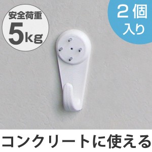 フック　壁　特大　コンクリート用　ピンタイプ　耐荷重5kg　2個入り （ コンクリート ブロック レンガ 強力 強力フック ピン タイル 壁