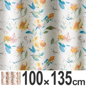 カーテン　遮光カーテン　スミノエ　アリス　ローズガーデン　100×135cm （ 送料無料 遮光 ディズニー ドレープカーテン Disney ふしぎ