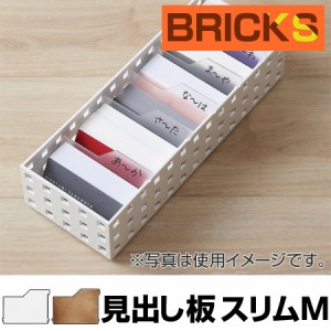 小物収納　仕切り板　見出し板　ブリックス　BRICKS　スリムM　2枚組　9127 （ 小物入れ 小物ケース 収納ボックス 収納バスケット フリー