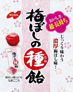 ノーベル 梅干の種飴 30g×6個