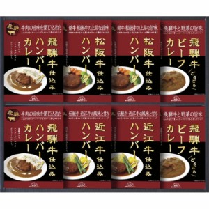 【ポイント増量中 送料無料】 飛騨高山ファクトリー 松阪牛 近江牛 飛騨牛仕込み ハンバーグ＆カレー詰合せ ハンバーグ カレー 惣菜 ギフ