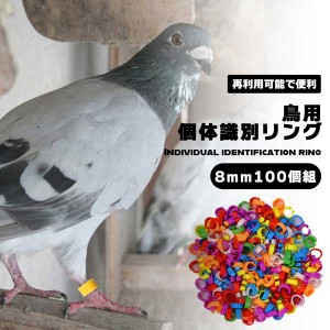 【100個入り】家禽用足輪 鳥 鳥用 個体識別リング 8mm 識別用 カラフル 再利用可能 レッグリング 鳩 オカメインコ インコ オウム カナリ