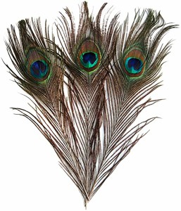 羽根 目玉羽 装飾用の羽根 孔雀の羽 23-33cm 10本