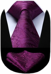 結婚式 ペイズリー ネクタイ チーフ セット メンズ 紫 花柄 ネクタイ おしゃれ 礼服用 紳士 ビジネス パーティー 高級 プレゼント  送料