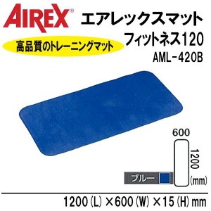 AIREX R エアレックス マット　フィットネスマット 波形パターン フィットネス120　ブルー　AML-420B