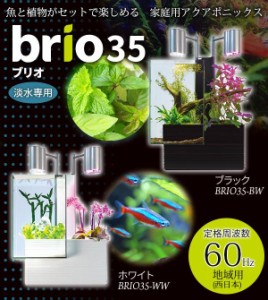 魚と植物がセットで楽しめる　家庭用アクアポニックス　brio35 ブリオ 60Hz地域用 西日本 ブラック・BRIO35-BW