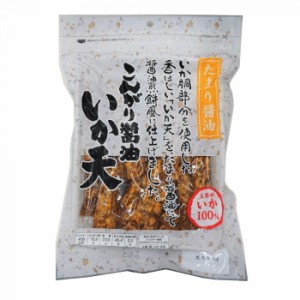 小倉秋一商店 いか天醤油 73g×10セット