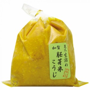 胚芽米こうじ　500g　6個セット