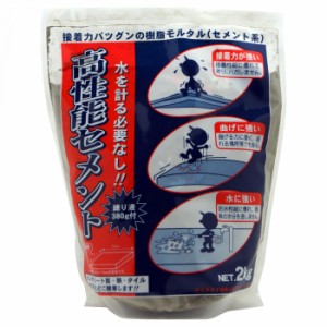 家庭化学工業 高性能セメント 2kg グレー