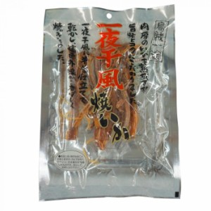 小倉秋一商店 一夜干し風焼いか 60g×10セット