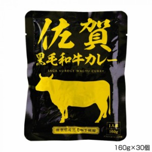 佐嘉の絲 佐賀黒毛和牛カレー 160g×30個 P8