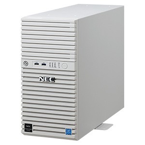 NEC [NP8100-2902YQ3Y] Express5800/D/T110k Xeon E-2314 4C/8GB*2/SATA 1TB*2 RAID1/W2022/タワー 3年保証
