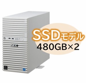 NEC [NP8100-2902YQ6Y] Express5800/D/T110k Xeon E-2314 4C/8GB/SSD 480GB*2 RAID1/W2022/タワー 3年保証