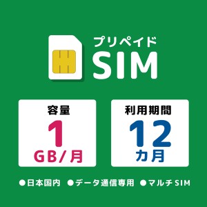 モバイル・プランニング [20211117-2970] プリペイドSIM 月間1GB 12ヶ月 ドコモ