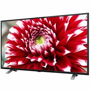 TVS REGZA [40V34] 【REGZA】地上・BS・110度CSデジタルフルハイビジョン液晶テレビ 40V型 [PSE認証済]