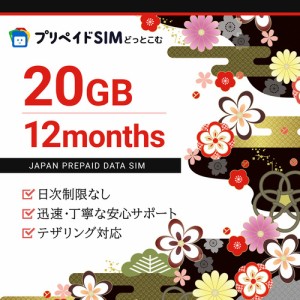 モバイル・プランニング [20211117-23100] プリペイドSIM 月間20GB 最大12ヶ月 ドコモ