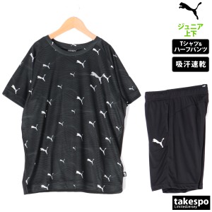 プーマ Tシャツ ハーフパンツ ジュニア 上下 PUMA 半袖 吸汗 速乾 ラグランスリーブ 681412 新作