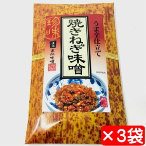 焼ねぎ味噌 3袋(1袋100g入り)【家伝味噌・うま辛仕立て】ご飯、酒の肴、おにぎり、サラダ、田楽に【ポスト便】