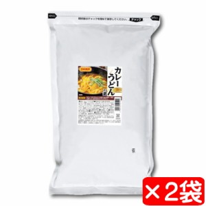 カレーうどんの素 2袋(1袋1kg)【日本食研・業務用】1袋で約40杯分のカレーうどんが出来ます【ポスト便P】