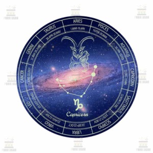 蓄光 光る 星座 やぎ座 Capricorn ウォールステッカー 多用途 パーティー イベント シール C917-10