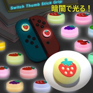 暗闇で光る☆ Nintendo Switch/Lite 対応 スティックカバー 【dco-151-01】 蓄光 シリコン キャップ スイッチ ジョイコン