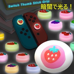 暗闇で光る☆ Nintendo Switch/Lite 対応 スティックカバー 【dco-151-04】 蓄光 シリコン キャップ スイッチ ジョイコン