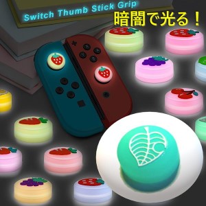 暗闇で光る☆ Nintendo Switch/Lite 対応 スティックカバー 【dco-151-06】 蓄光 シリコン キャップ スイッチ ジョイコン