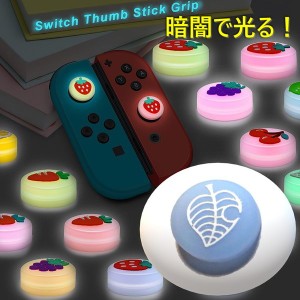 暗闇で光る☆ Nintendo Switch/Lite 対応 スティックカバー 【dco-151-07】 蓄光 シリコン キャップ スイッチ ジョイコン