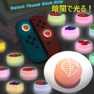 暗闇で光る☆ Nintendo Switch/Lite 対応 スティックカバー 【dco-151-08】 蓄光 シリコン キャップ スイッチ ジョイコン