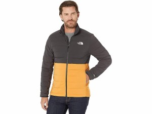 the north face ( ザ ノースフェイス ) ダウンジャケット メンズの通販