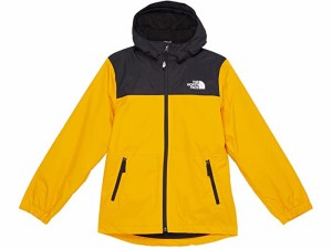 ノース フェイス ダウン キッズの通販|au PAY マーケット