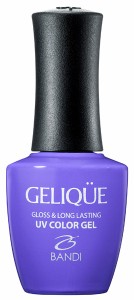 BANDI GELIQUE(バンディ ジェリーク)　UVカラージェル14ml　GF313