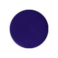 PREGEL（プリジェル） スーパーカラーEX  ４ｇＰＧ−ＳＥ１１５　紫