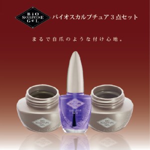 バイオスカルプチュア　ジェルセットエグゼクティブベースコート〔12ml〕＆Sジェル〔10g〕＆クリアジェル〔10g〕