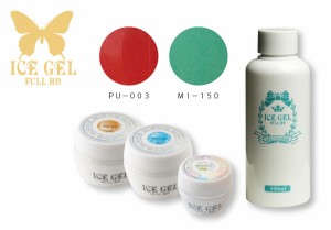 ICE GEL(アイスジェル)  ジェル検定キット  初級